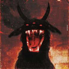 Rexsotte