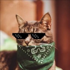 CATuj99