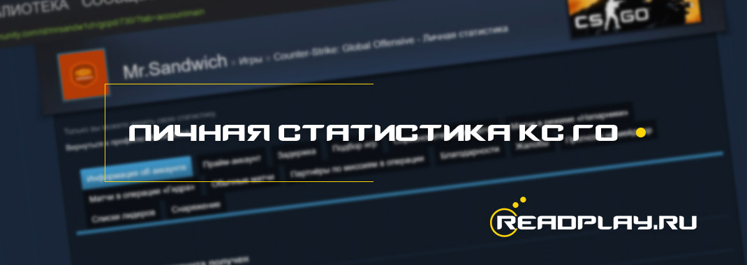 Полная статистика cs go доступна в steam