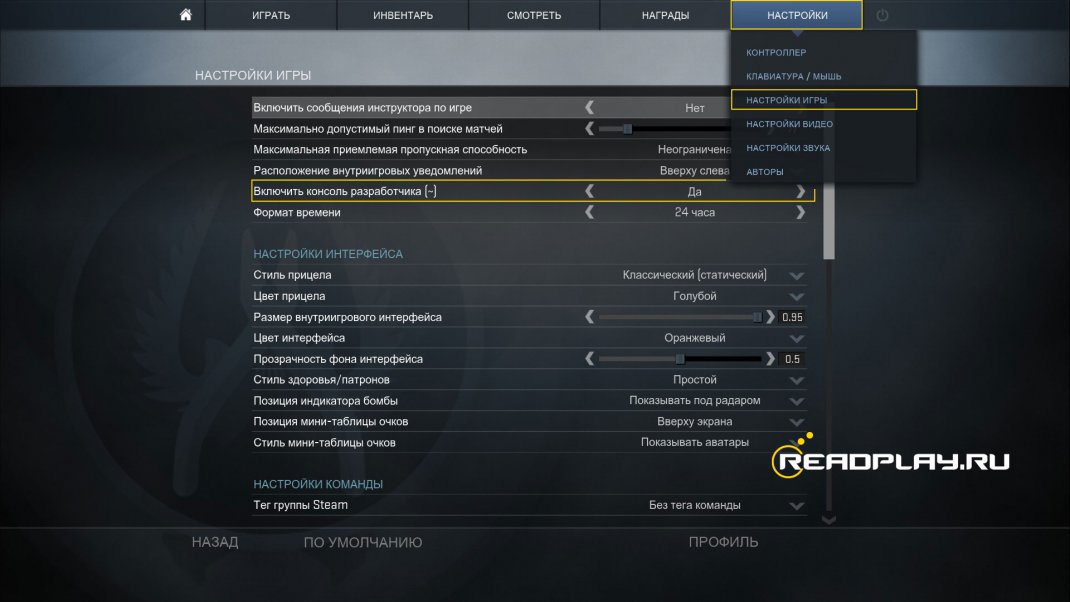 скриншот включаем консоль в cs:go