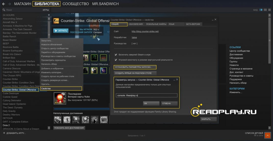 скриншот включаем console через параметры запуска