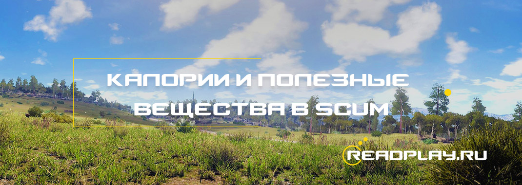 Калории и полезные вещества в scum