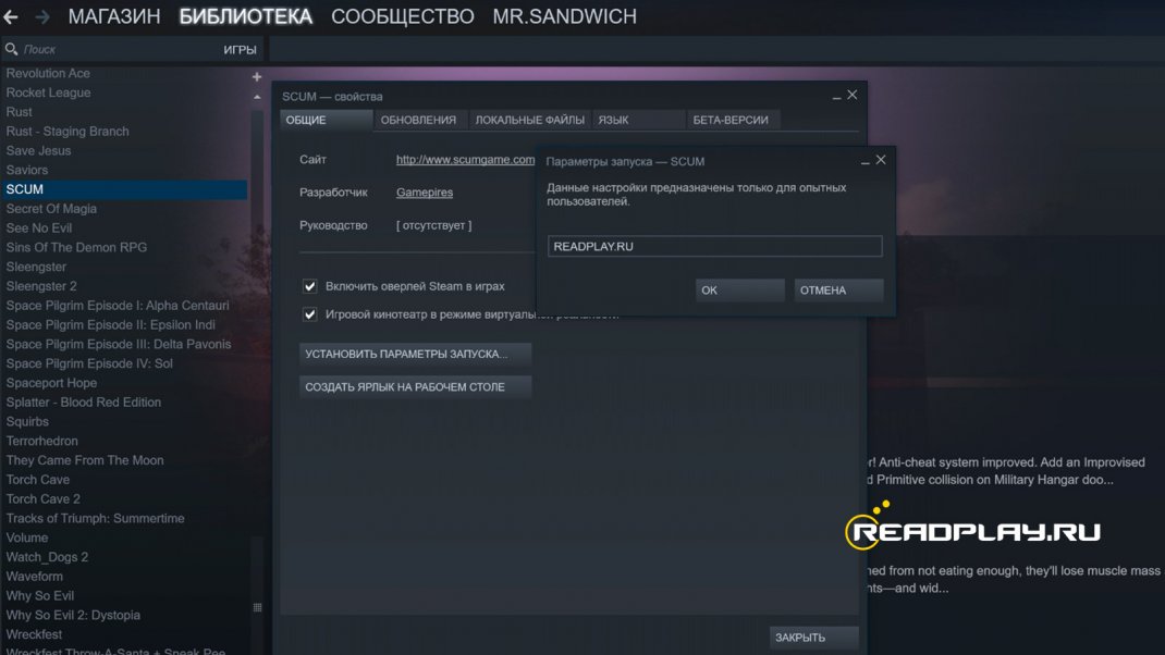 Скриншот параметров запуска для scum