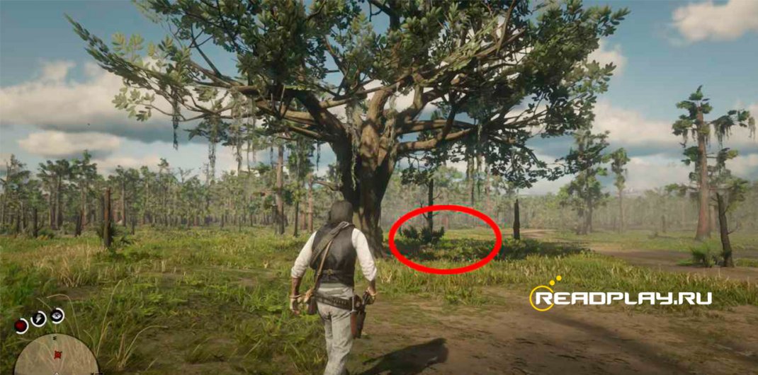 Изображение Хосе Мэтьюс и Ленни Саммерс в RDR 2