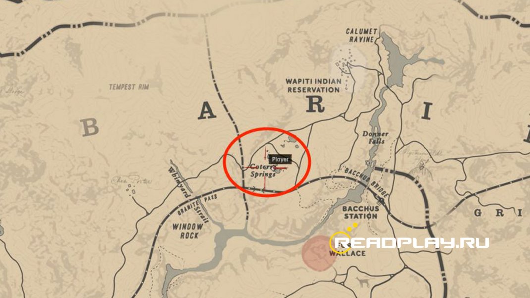 Скриншот с местоположением второго сокровища в RDR 2
