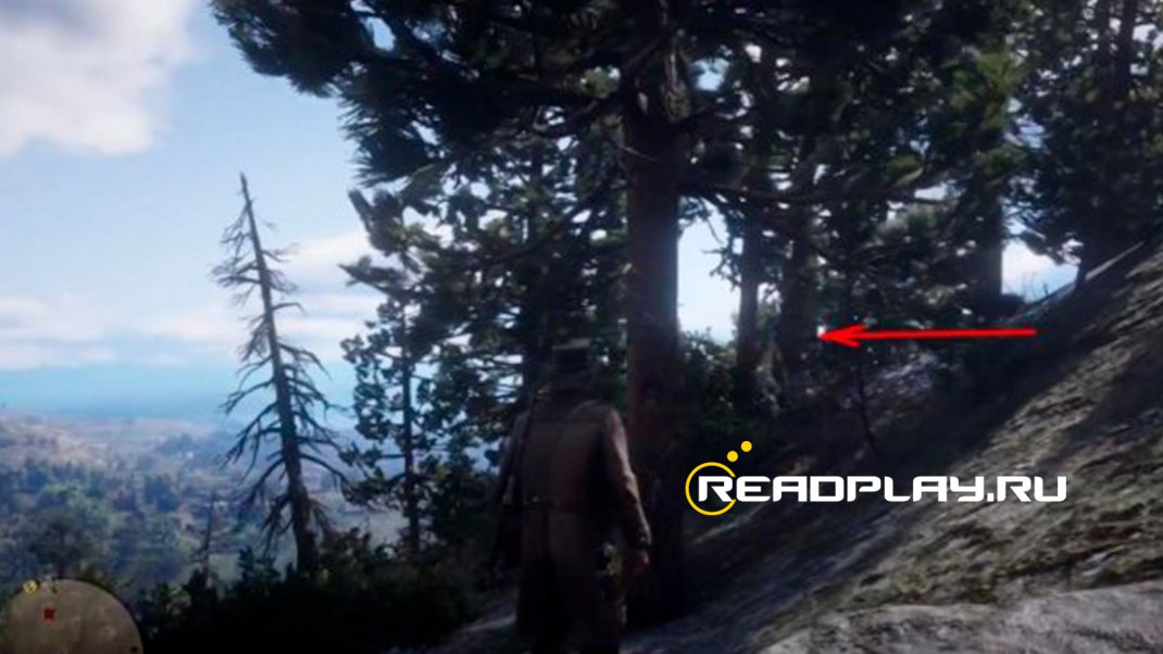 Фото ловца 5 в RDR 2