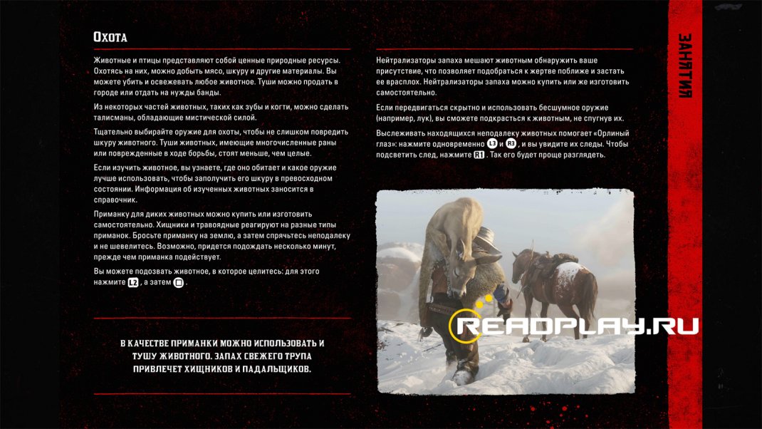 Скриншот - охота для заработка денег в Red Dead Redemption 2