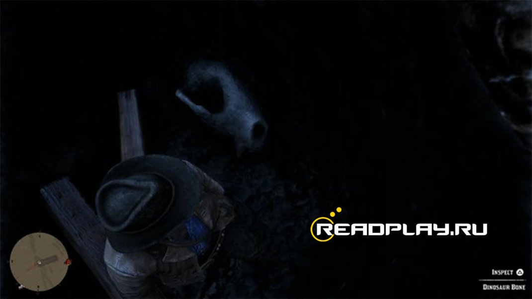 Скриншот - кость динозавра в Red Dead Redemption 2