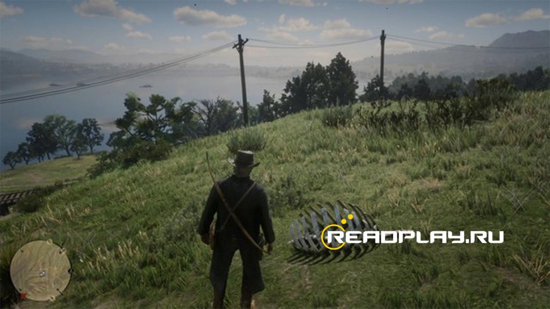 Скриншот грудной клетки динозавра в rdr 2
