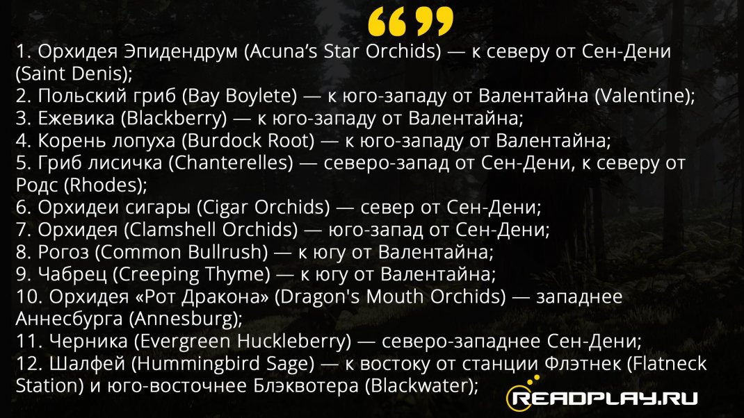 Скриншот первый список растений