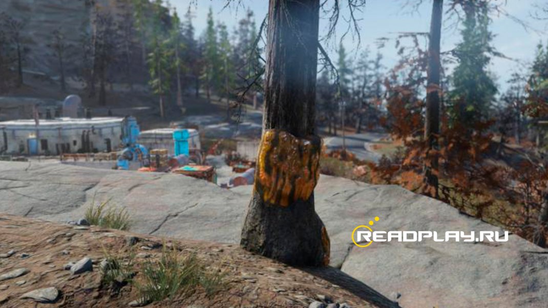 Скриншот светящаяся смола в Fallout 76 находится на деревьях