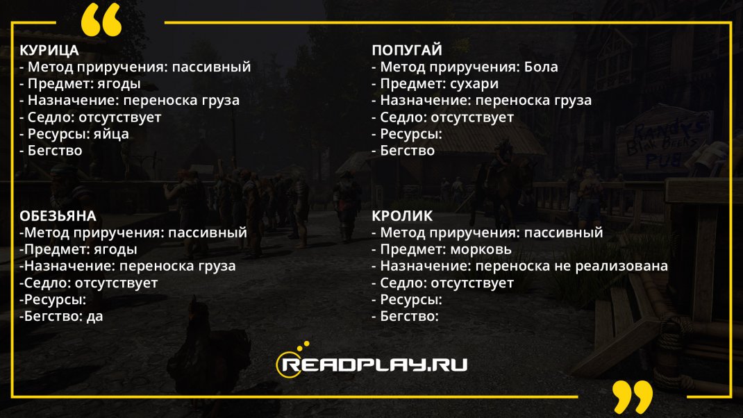 Фотография - приручаем курицу и кролика