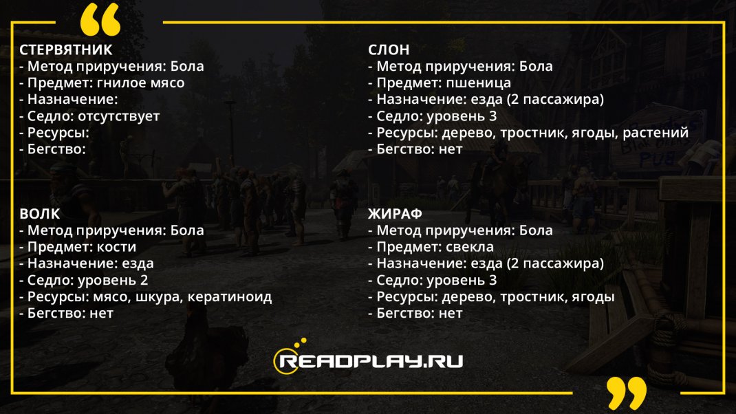 Изображение - список приручаемых животных в Atlas