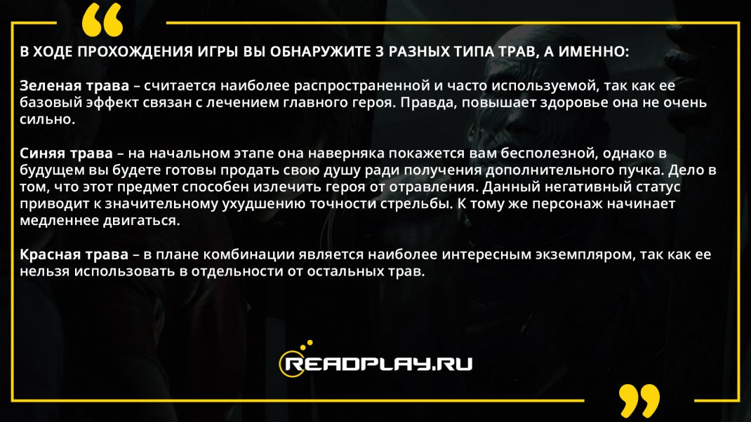 Фотография - виды трав в Resident Evil 2 Remake